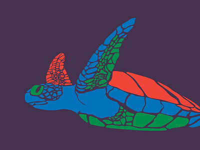 Green Turtle green turtle illustration racing extinction turtle wild life