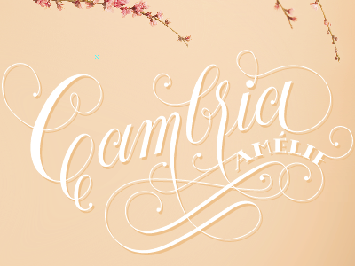 Lettering - Cambria Amélie flourishes lettering script