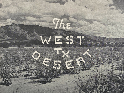 West TX Desert advertising branding desert graphic design texas typography