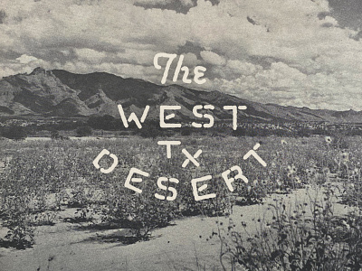 West TX Desert