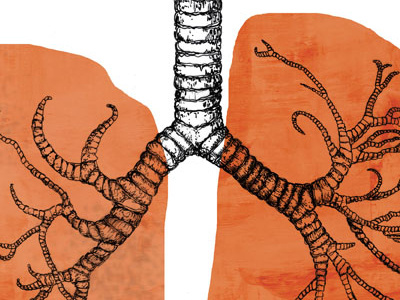 Lungs digital painting drawing illustration