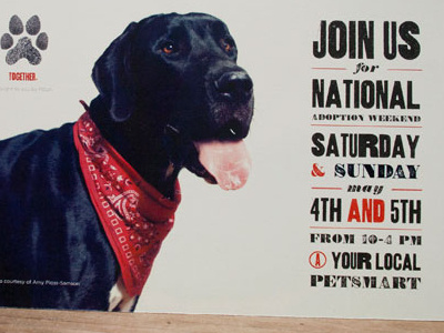 Together adoption animal dog pets typography
