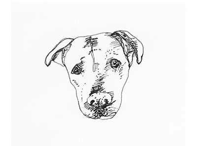 Dog Sketch animal dog hand drawn illustration mutt rescue sketch