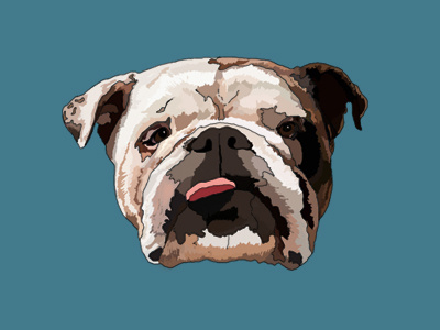 Dooley the Dog bark brindle bulldog cute dog ears english bulldog handsome illustration tongue woof