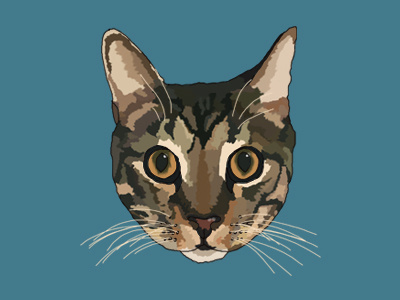 Tora the cat attitude cat color ears eyes handsome illustration meow purr tiger whisker whiskers