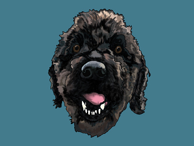 Max digitaldrawing digitalpainting dog illustration labradoodle wacomtablet