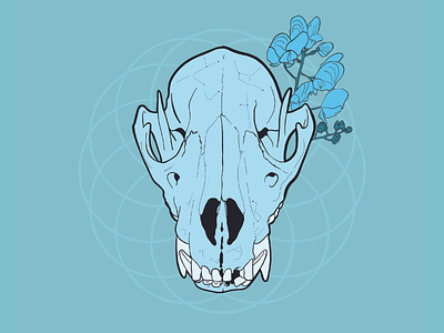 Wolf skull adobe design digital art fine art flowers illustration ipad pro tattoo art vector