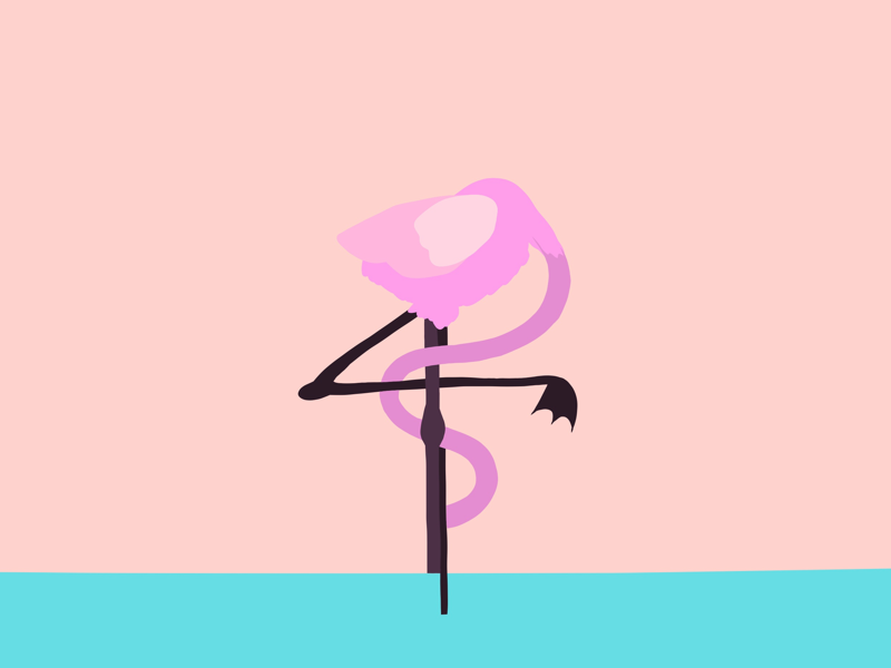 Untitled vector art flamingos pink birds mixed media fine art digital art artwork surreal original graphic design adobe