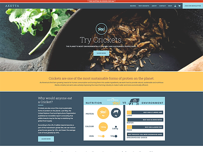 Aketta.com Website crickets design food responsive website