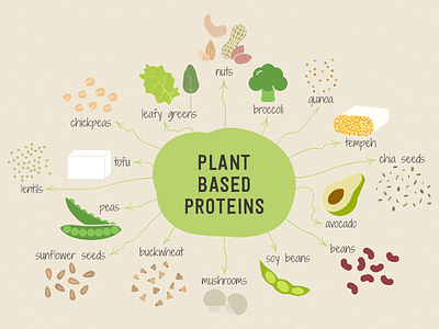 Plant Based Proteins Illustration digital illustration food healthy illustration plant proteins