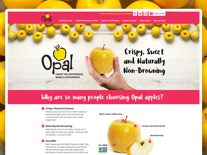 Opal Apple Website Redesign apple apples food opal produce responsive ui ux website