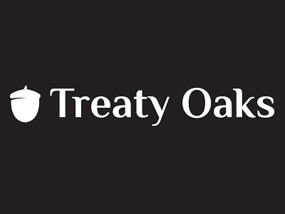 Treaty Oaks acorn branding designs graphic design illustrator logo oaks
