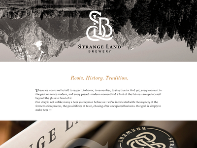 SLB Website austin beer brewery craftsmanship illustrator web design wordpress