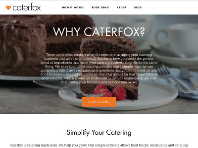 Caterfox Web Design html illustrator web web design website