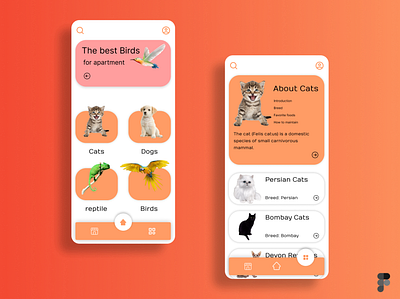 Pet Application figma ui uidesign