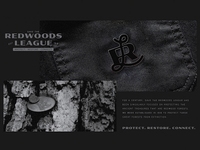 Pin and Tree Tag Mockup Save The Redwoods League league monogram pin redwoods secret society tree