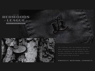 Pin and Tree Tag Mockup Save The Redwoods League