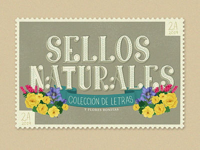 Sellos Naturales. Colección de letras y flores bonitas