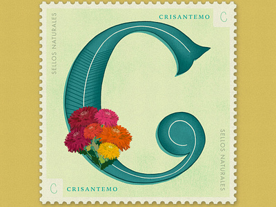 Letter C · Crisantemo · #36daysoftype #SellosNaturales