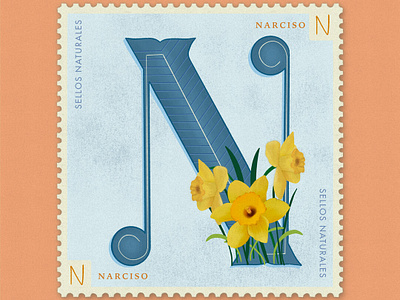 Letter N · Narciso · #36daysoftype #SellosNaturales 36 days of type 36 days of type lettering adobe daffodil flowers illustration lettering lettering animation narciso natural natural stam old stamp orange procreate sellos naturales stamps vintage art vintage stamp women in illustration