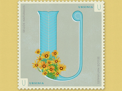 Letter U · Ursinia · #36daysoftype #SellosNaturales 36 days of type 36 days of type lettering africa botanical art flowers flowers illustration letra u letter u lettering lettering art natural nature sellos naturales ursinia vintage vintage art vintage stampp women of illustration womeninillustration