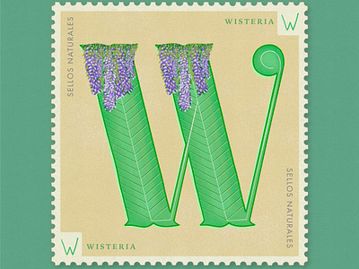 Letter W · Wisteria · #36daysoftype #SellosNaturales 36 days of type 36 days of type lettering botanical art capital letters flowers flowers illustration hand lettering letra w letter w lettering natural nature plants procreate sellos naturales vintage art vintage lettering vintage stamp wisteria women in illustration