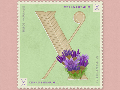 Letter X · Xeranthemum · #36daysoftype #SellosNaturales 36 days of type 36 days of type lettering botanical art decoration dried flower flor deco flores de papel green letter x lettering natural stamp sellos naturales stamp women in illustration xeranthemum