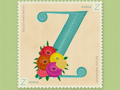 Letter Z · Zinia · #36daysoftype #SellosNaturales 36 days of type 36 days of type lettering botanical art flower lovers flowers flowers illustration letra z letter z lettering mexico nasa plants sellos naturales space stamps vintage vintage art women in illustration zinnia