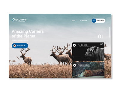 Discovery Channel Redesign bangalore designer figma illustrator redesign ui ui designer uidesignerbangalore uiux