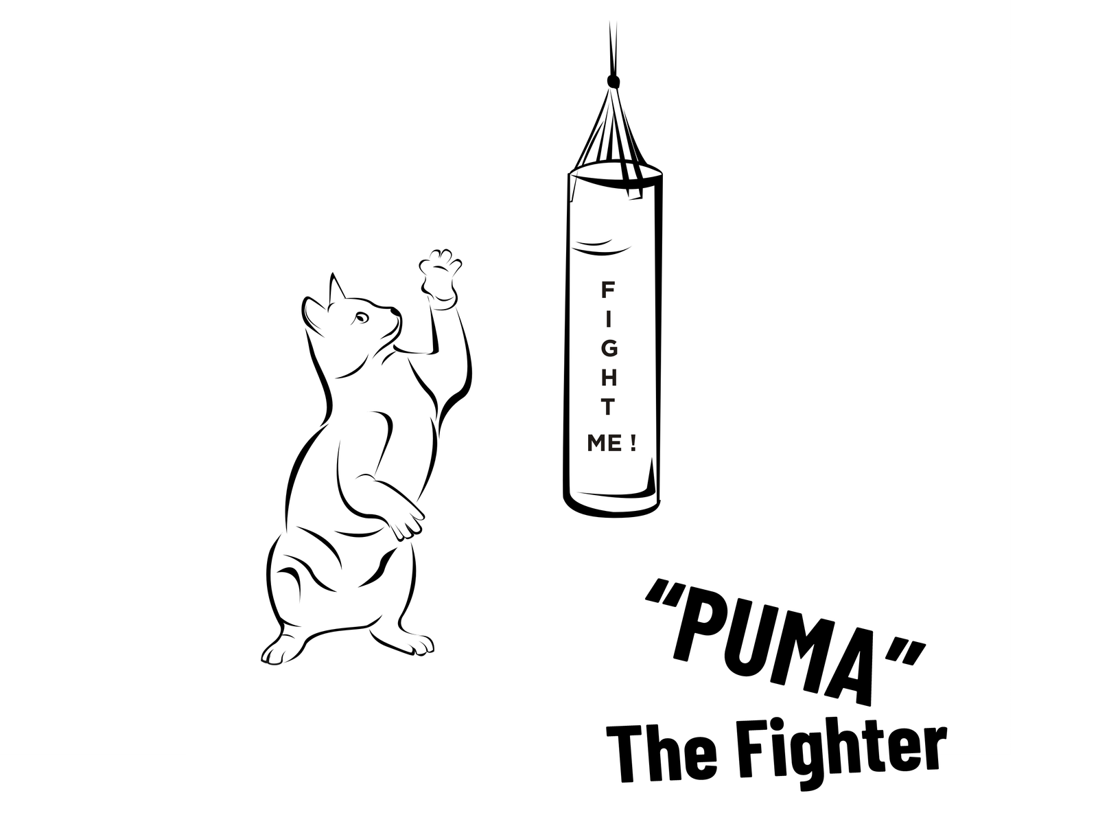 My Cat training MMA by Rizky Firman Syah on Dribbble