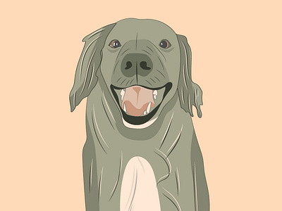 Ollie dog illustration