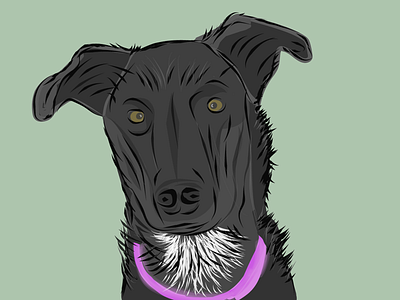 Lizzy Dog dog illustration