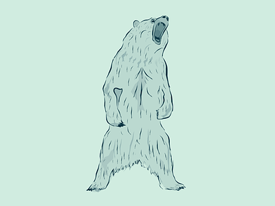 Bear! animal bear design illustration