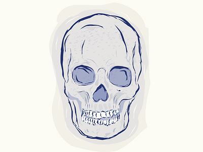 Skull illustration illustrator skull and crossbones skull art skulls