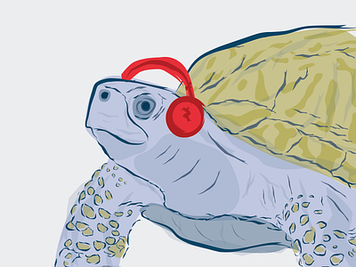 Turtle Beats animal illustration turtle