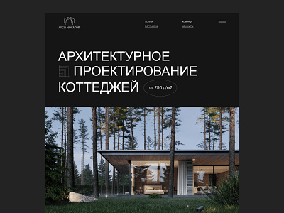 Arch Novator new Websait branding design typography ui ux