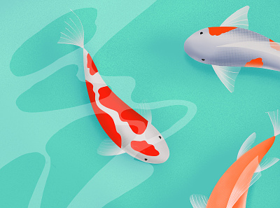 Koi applepencil applepencilillustration digitalart fish goldfish illustration illustration digital japan japanese japanese art koi carp koi fish procreate travel illustration