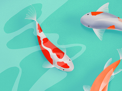 Koi applepencil applepencilillustration digitalart fish goldfish illustration illustration digital japan japanese japanese art koi carp koi fish procreate travel illustration