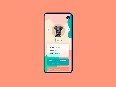 064 #DailyUI Select User Type app design dailyui dailyuichallenge design dogs dogs app pet app pets ui ui design