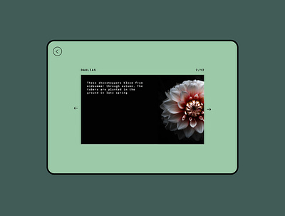 072 #DailyUI Image Slider dailyui dailyui072 dailyuichallenge design digitaldesign floral flowers gardening graphicdesign green image slider slider ui ui design uiux