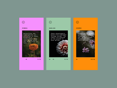 085 #DailyUI Pagination dailyui dailyuichallenge design event website flowers gardening info cards pagination ui ui design ux