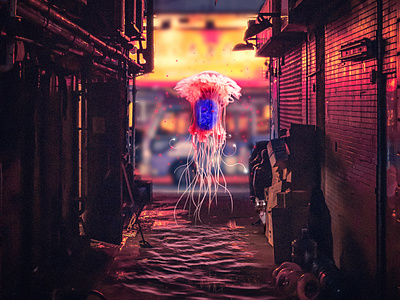 Meduza fly flying futuristic medusa photo manipulation photography town