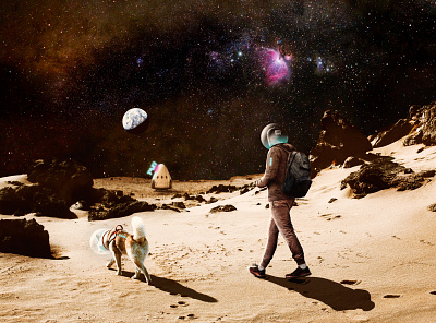 Taking some fresh air design doggo earth fly futuristic galaxy lights photo manipulation photography planet space spaceman spaceship stars taxi