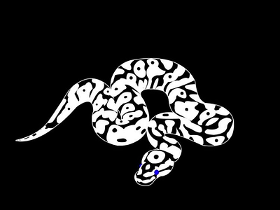 Snake 🐍 black colors design graphicdesign icon illustration minimal ui vector visualdesign