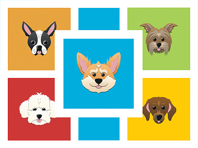 Iconopets Pet Portrait Illustrations bishon frise boston terrier corgi dachshund dogs illustration illustrator minimal pets vector welsh corgi yorkshire terrier