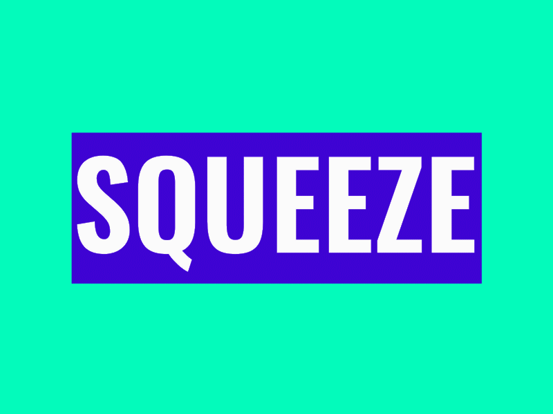 Squeeze 2 after effects animation design flat icon minimal motion design motion graphics squeeze typography vector