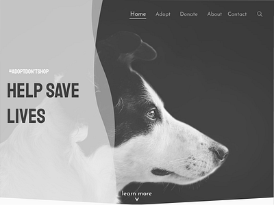 Animal Shelter UI