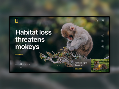 National Geographic Landing Page ui design uiux ux design web design web developer