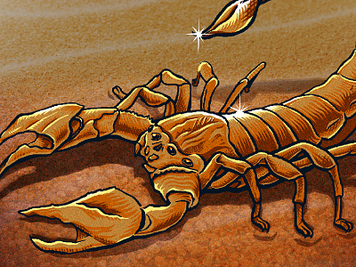 Scorpion desert illustration sand scorpion