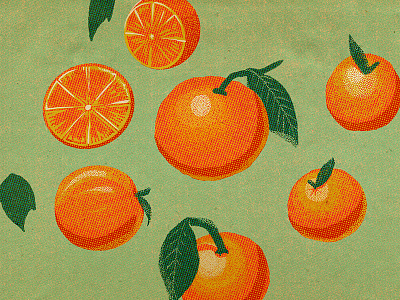 Oranges art design drawing fruit illustration orange oranges vintage